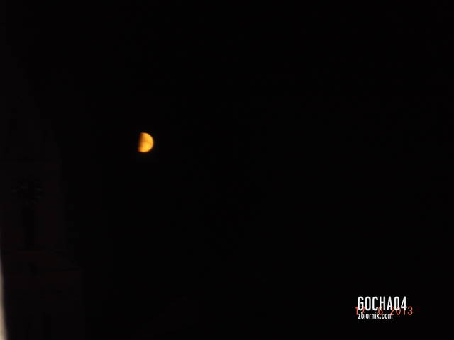 DSCF0130.JPG - gocha04