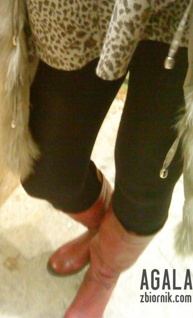 DSC06336L.jpg - AGALA