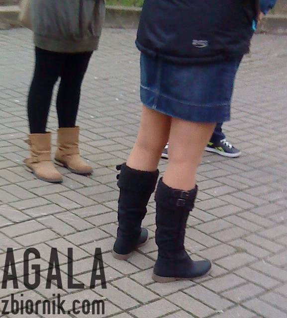 DSC06350kl.jpg - AGALA