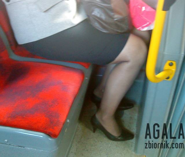 DSC06339v.jpg - AGALA