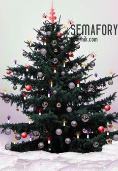 Ponieważ spóźniona to Noworoczna