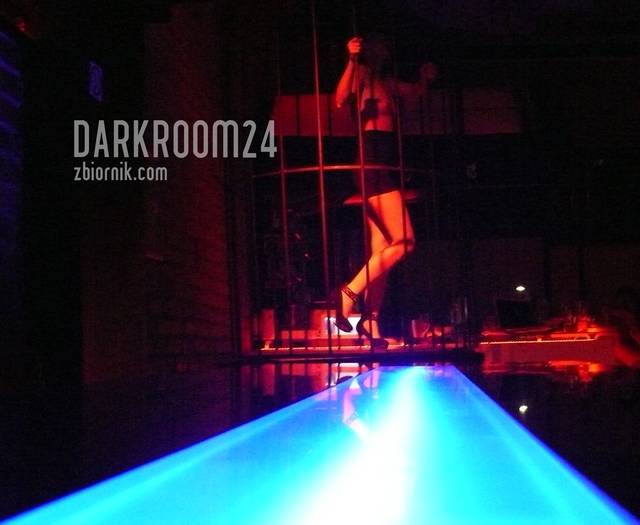 kanarek w klatce - DARKROOM24