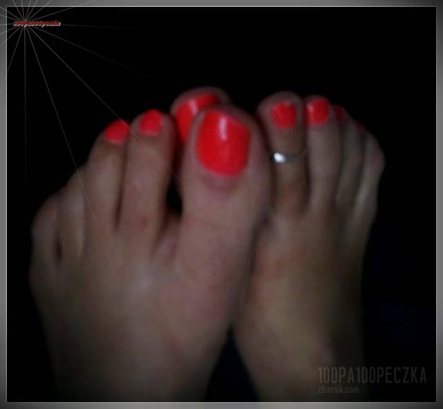 sweet orange #15 - 100pa100peczka