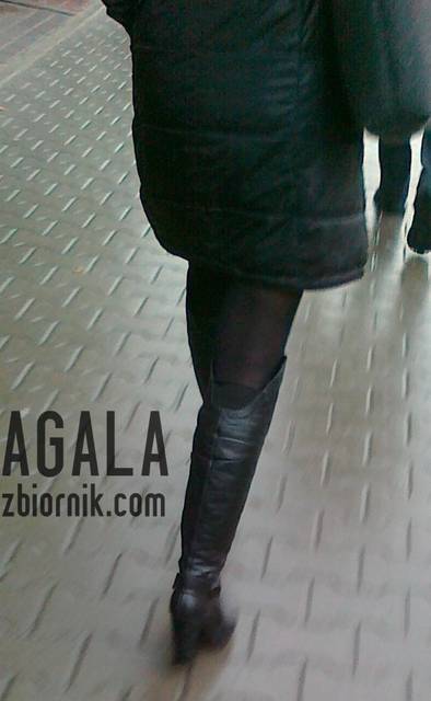 080120144205cz.jpg - AGALA