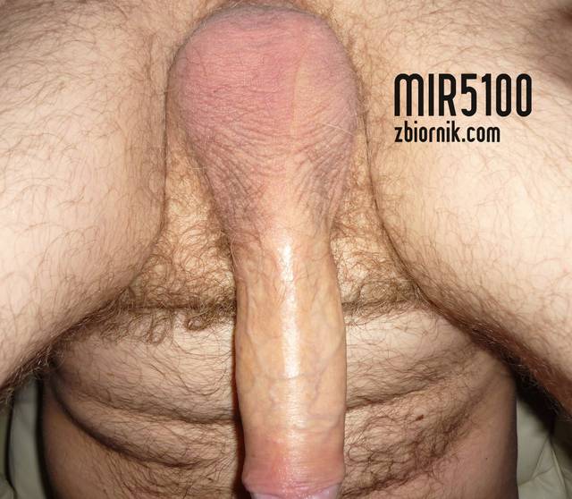 P1030228.JPG - mir5100