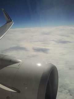 2013-09-04 12.18.36.jpg