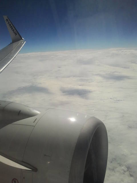 2013-09-04 12.18.36.jpg - Nimfo87