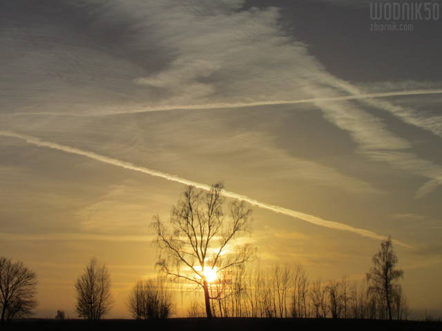 IMG_6694.JPG - wodnik50