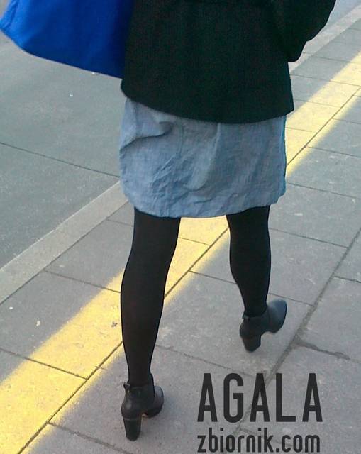 090120144213cz.jpg - AGALA