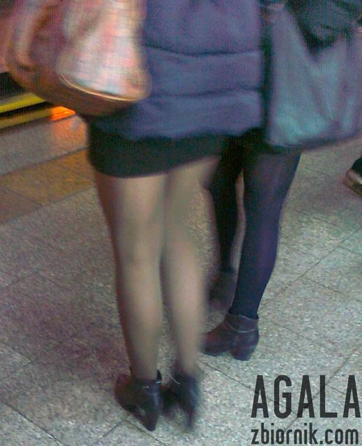 100120144232v.jpg - AGALA