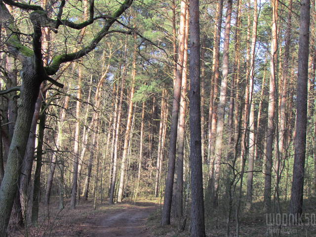 na spacerze 12 stycznia - wodnik50