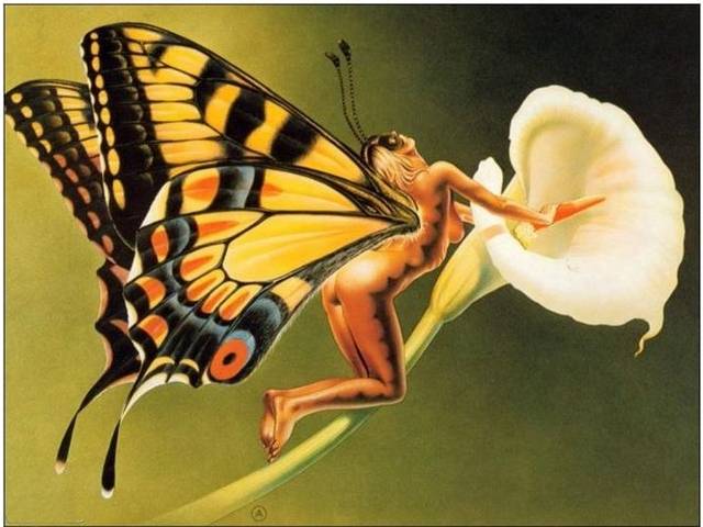 Motylem jestem - lisanita