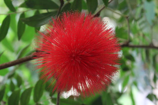 IMG_4087.JPG - wodnik50