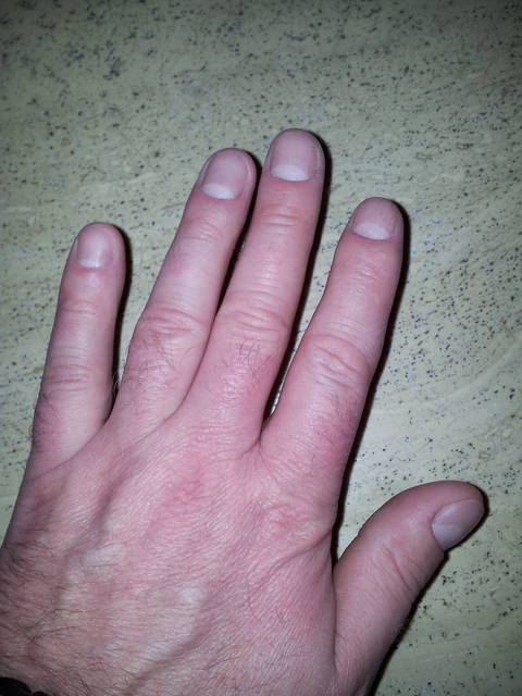 20140126_094540.jpg - capii