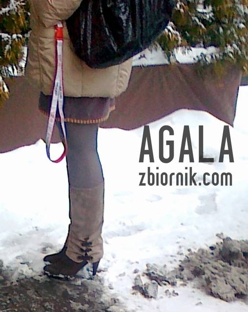 290120144283v.jpg - AGALA