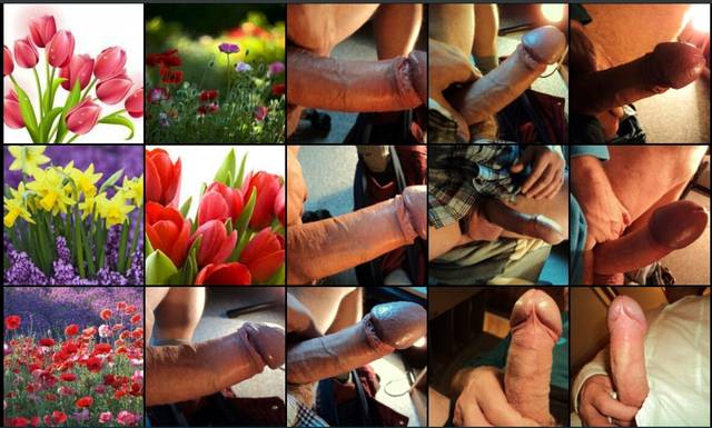 kw-21-D.jpg - delikutas