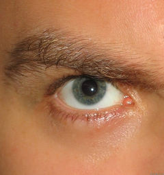 Spójrz mi głęboko w oczy !!!