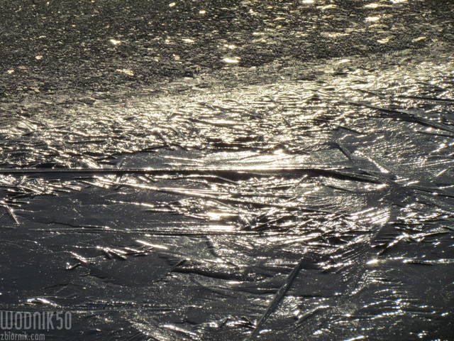 IMG_7000.JPG - wodnik50