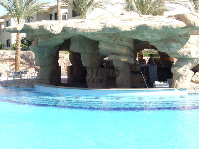 2007_01220244.JPG - scyzor75