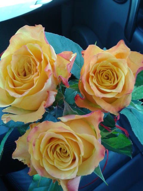 20140308  - cartagina