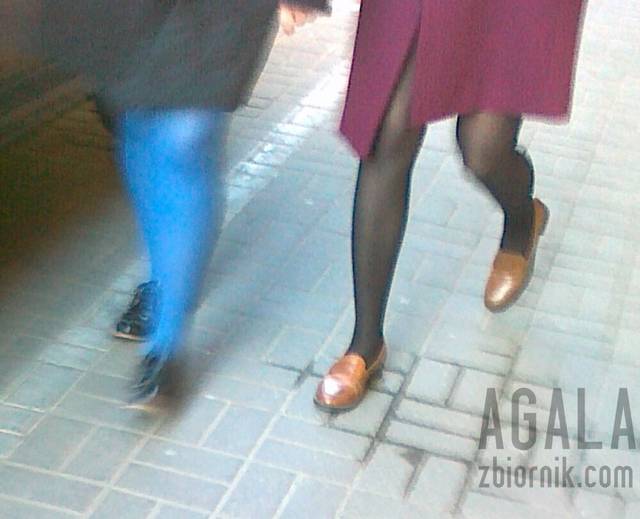 100320144487kol.jpg - AGALA