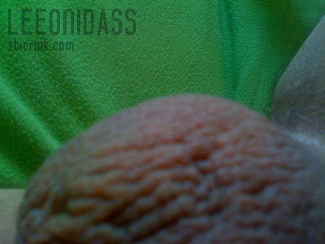 ball - Leeonidass