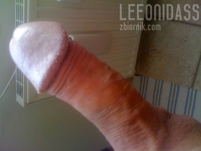 8 - Leeonidass