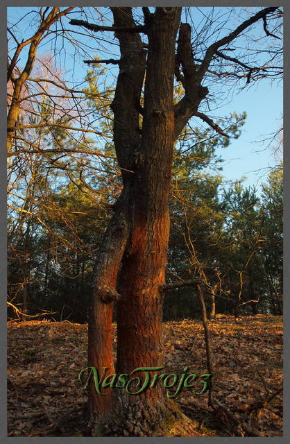 Do śmierci razem - Nastroje3