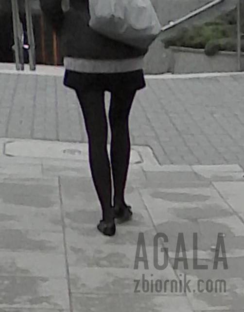 IMG_201403249v.jpg - AGALA