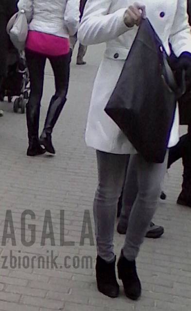 IMG_20140324_L.jpg - AGALA