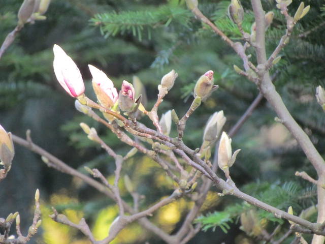 jeszcze chwila i ..... - wodnik50