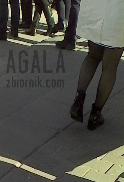 IMG_20140329_15465cz.jpg - AGALA