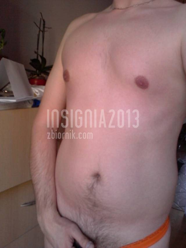 insignia2013