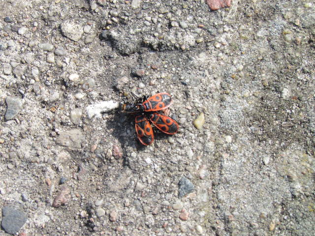 znęcanie,molestowanie,czy..... - wodnik50