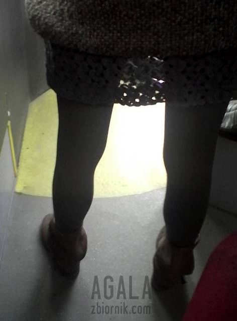 IMG_20140404_17v.jpg - AGALA