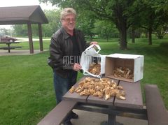 Szczesliwy grzybiarz