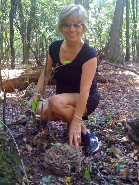 Grifola Frondosa  - Hen of the Woods - MewaMeva