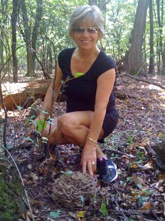 Grifola Frondosa  - Hen of the Woods