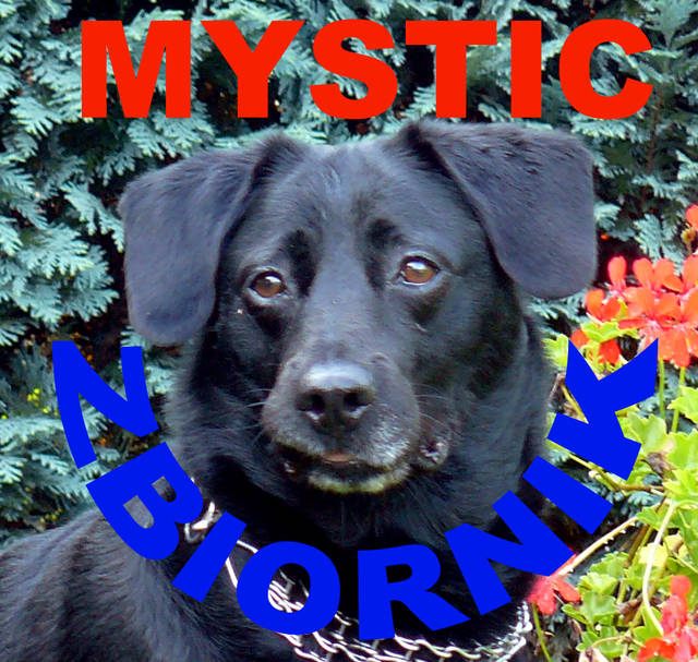 Profilowe :))))))))))))))))) - mystic