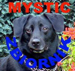 Profilowe :)))))))))))))))))