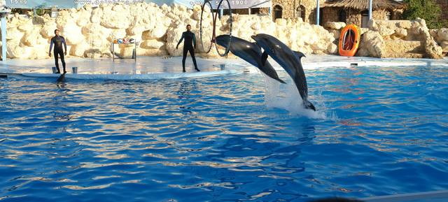 DSC09482-crop.JPG - skarb1970