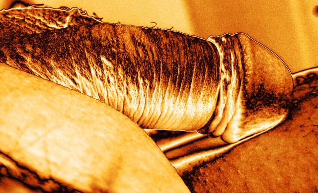 pyta2.jpg - Analclimax