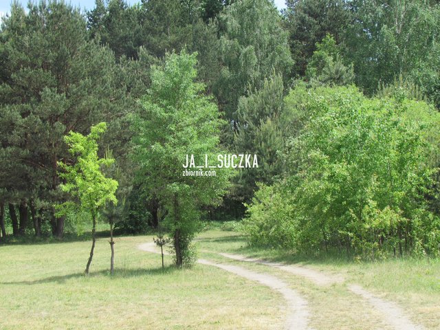 IMG_0898a.jpg - Ja_i_suczka