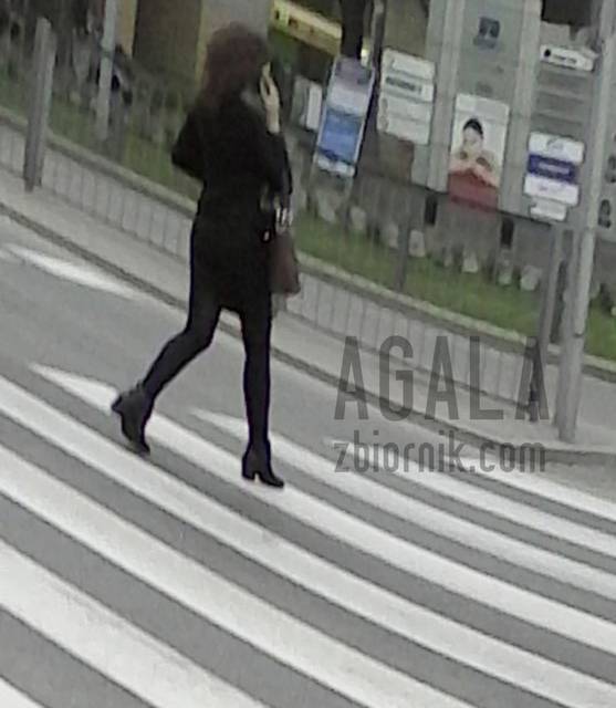 IMG_20140412_16cz.jpg - AGALA