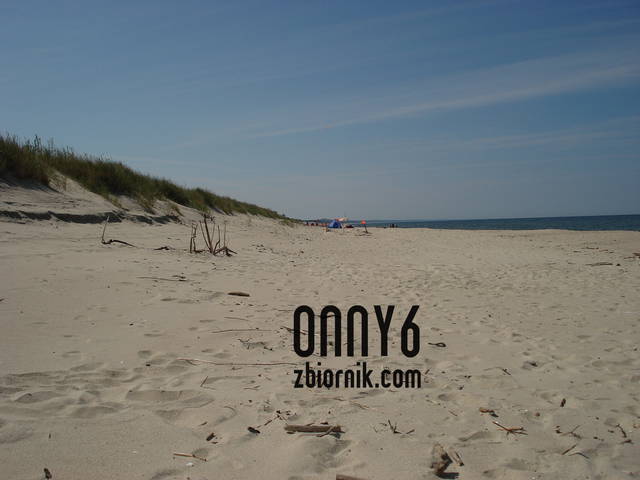 onny6