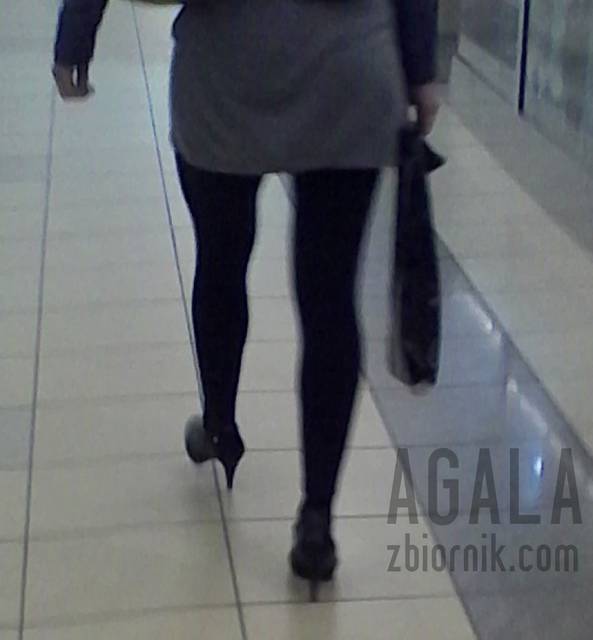 IMG_2014041331L.jpg - AGALA