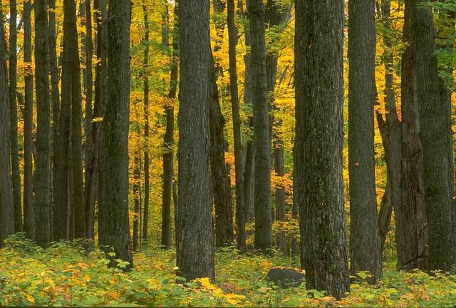 xxxxxxxxxxxxxxxx.jpg - Adam_i_Martyna