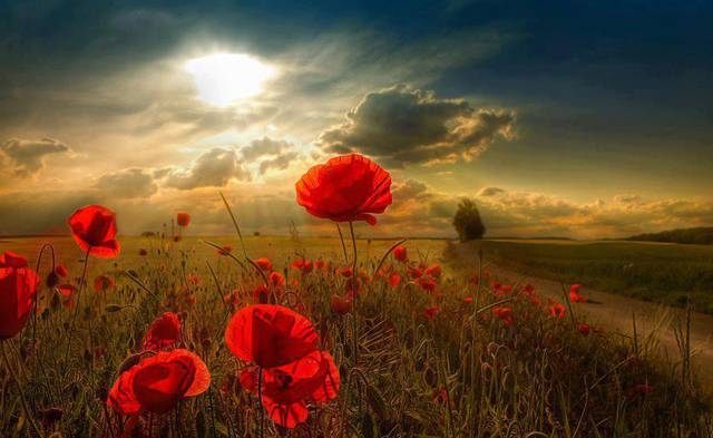 nature - Courvylicious