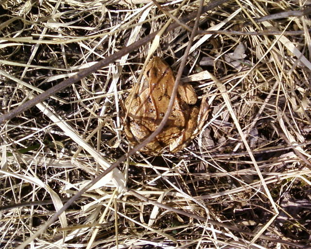 Zdjęcie-0001.jpg - lata70