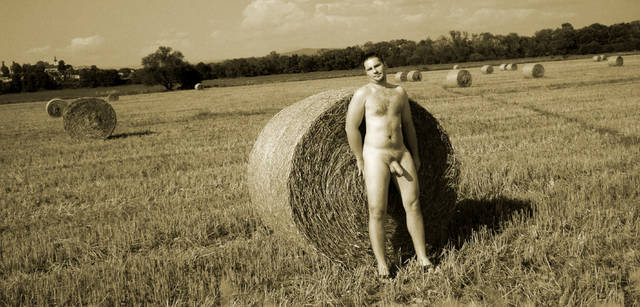 Title_997.jpg - Peter_333